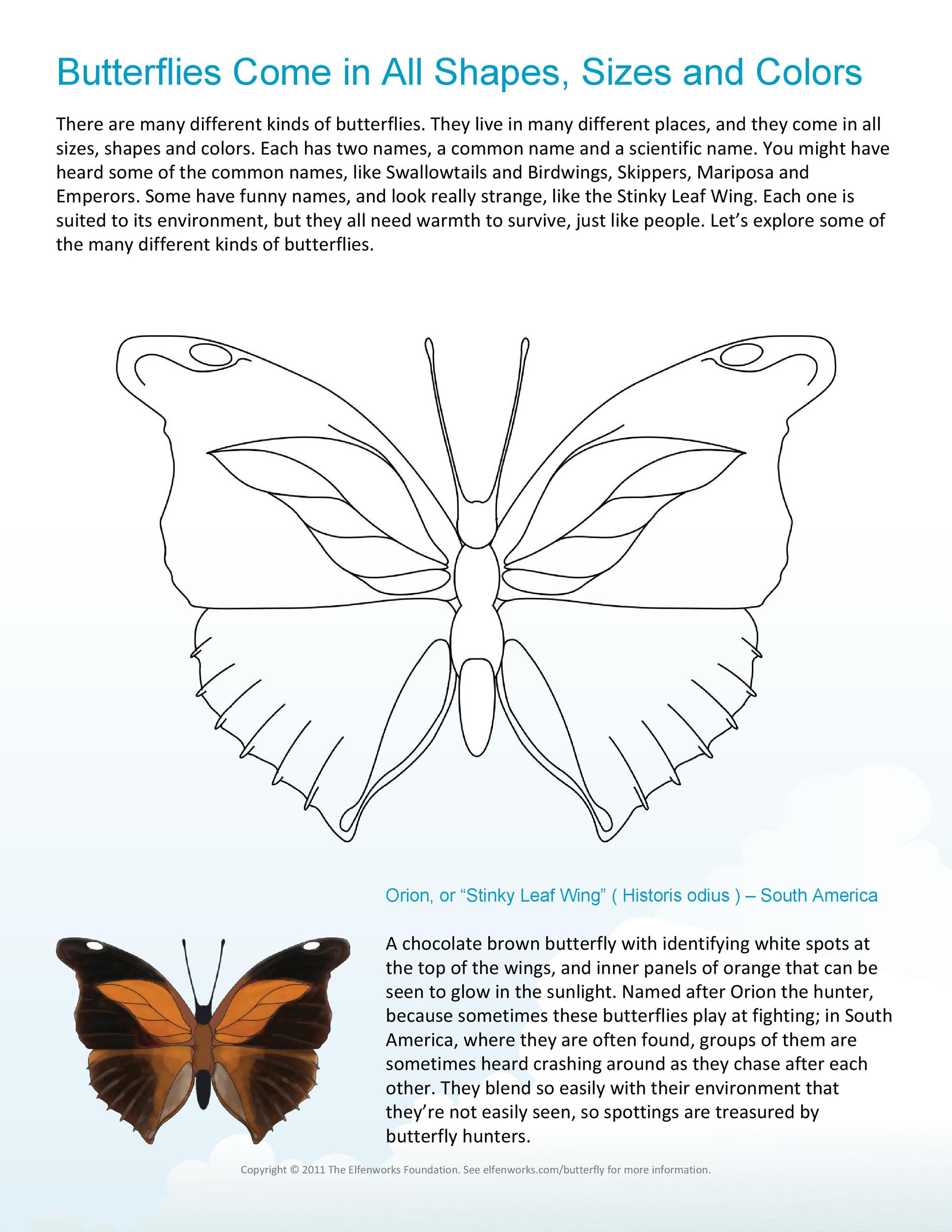 printable templates of butterflies