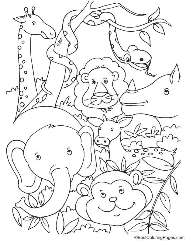 printable templates of jungle animals