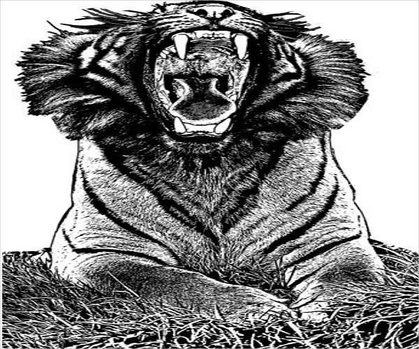 printable templates of jungle animals