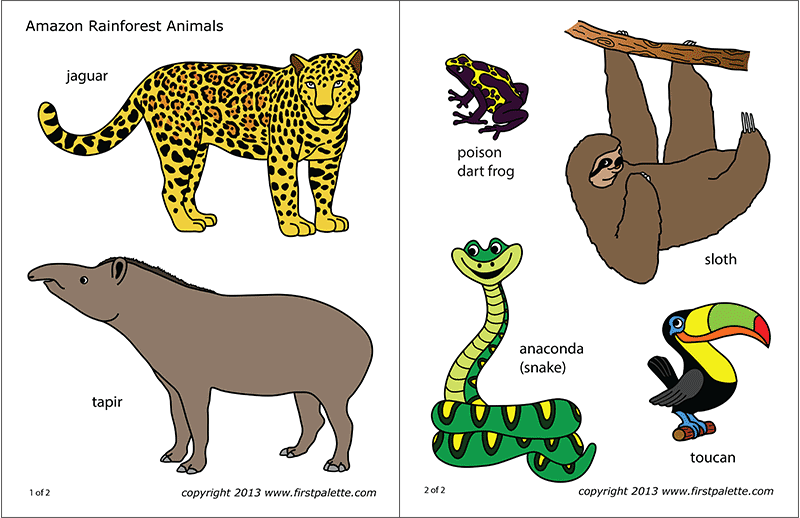 printable templates of jungle animals