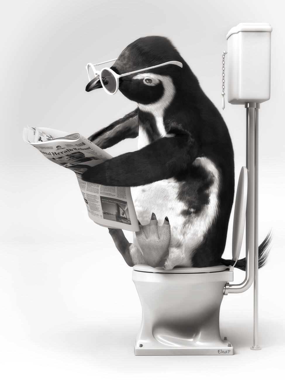 printable toilet wall art