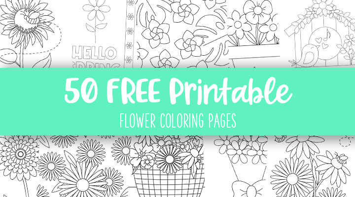 Flower Coloring Pages - 50 FREE Printable Pages | Printabulls