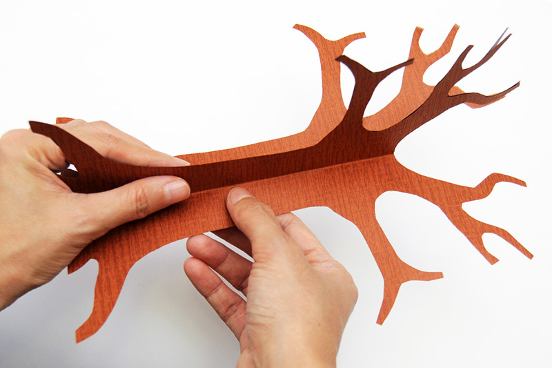 printable tree templates