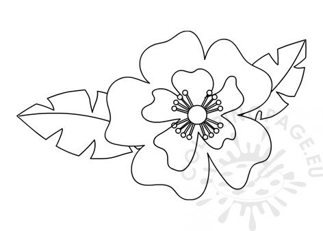 printable tropical flowers