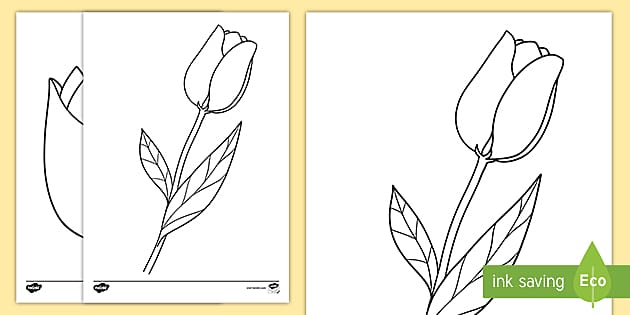 Printable Flower Template (teacher made) - Twinkl