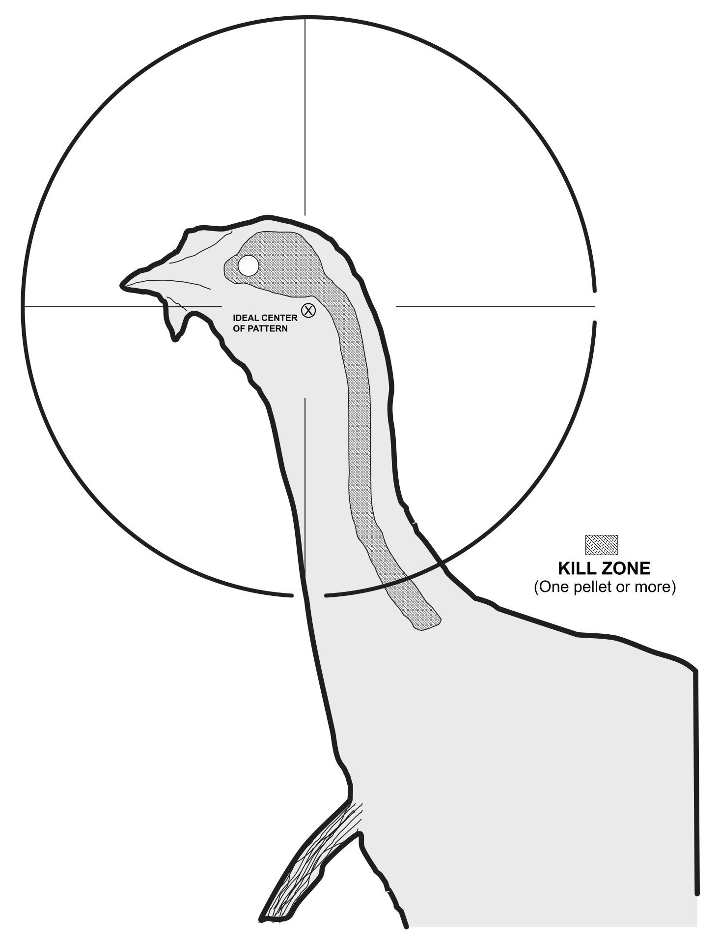 turkey target real size - 10 free pdf printables | printablee