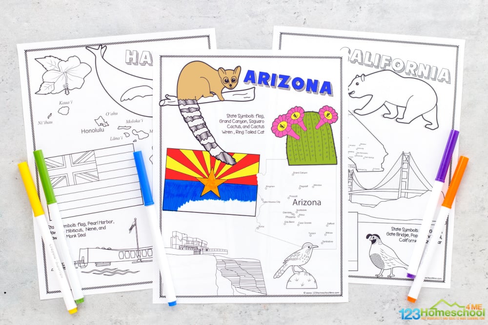 State Outlines: Blank Maps of the 50 United States - GIS Geography
