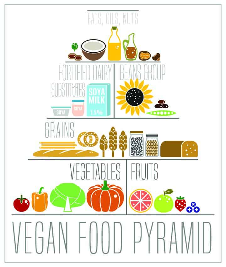 Vegan Grocery List -(Printable PDF) - The Daily Dish