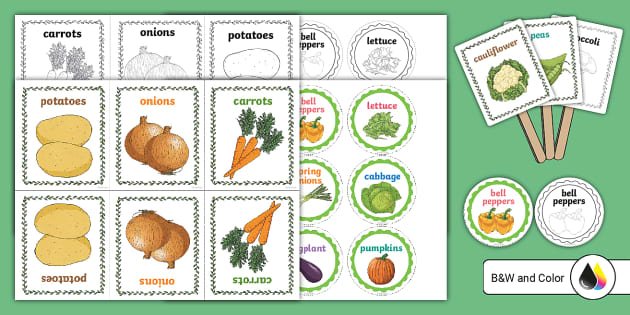 Vegetable Garden Labels (teacher made) - Twinkl