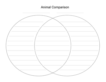 Blank venn diagram with lines | TPT