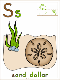 printable version of the legend of the sand dollar