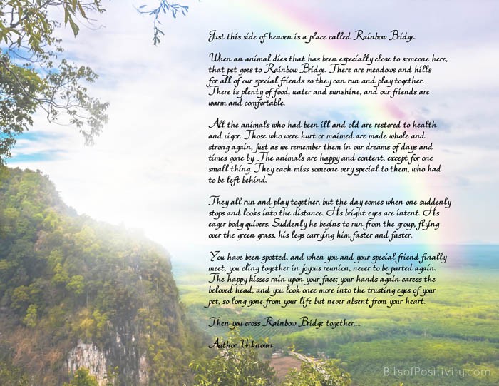 printable version of the rainbow bridge poem