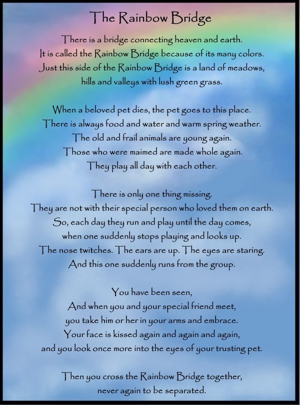 the-rainbow-bridge-poem-free-printable-the-clever-heart-worksheets-library for Free Printable Rainbow Bridge Poem Pdf The Rainbow Bridge Poem (Free Printable) - The Clever Heart - Worksheets Library for Free Printable Rainbow Bridge Poem Pdf