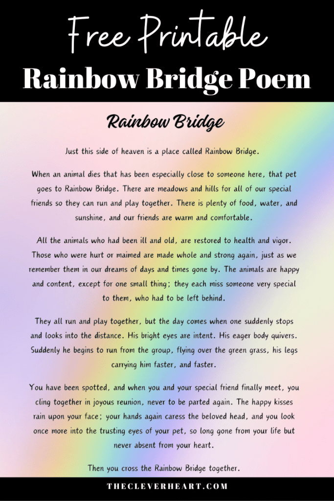 Rainbow Bridge for Pets from Arkansas Pet services