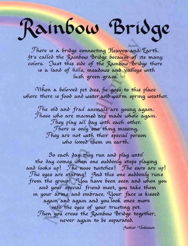 printable version of the rainbow bridge poem