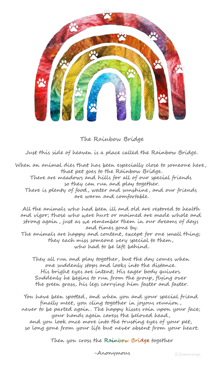 printable version of the rainbow bridge poem