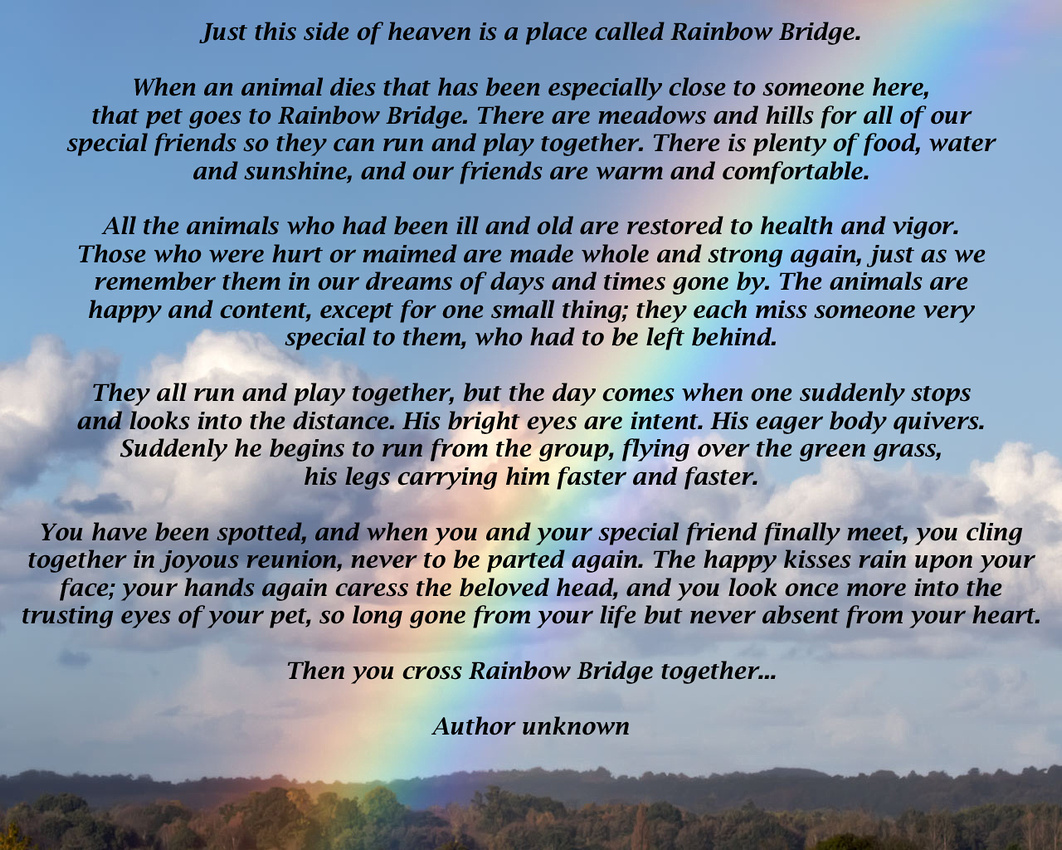 rainbow-bridge-pet-loss-poem-print-ebay-worksheets-library for Free Printable Rainbow Bridge Poem For Cats Rainbow Bridge Pet Loss Poem Print | eBay - Worksheets Library for Free Printable Rainbow Bridge Poem For Cats