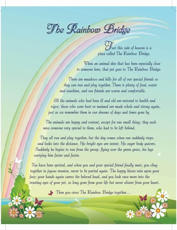 printable version of the rainbow bridge poem