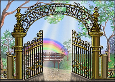 printable version of the rainbow bridge poem