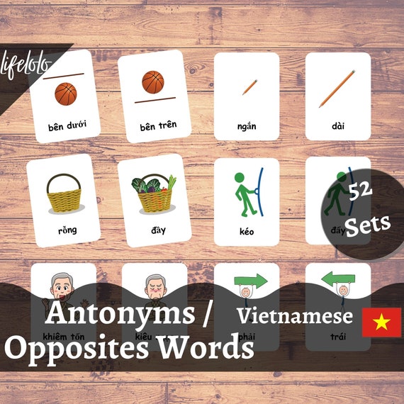 Buy Antonyms Vietnamese Flashcards, English Bilingual Cards, 104