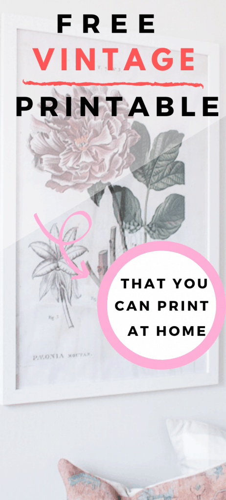 Free Vintage Floral Printable