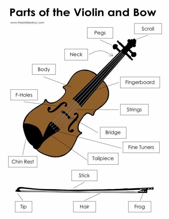 printable violin images