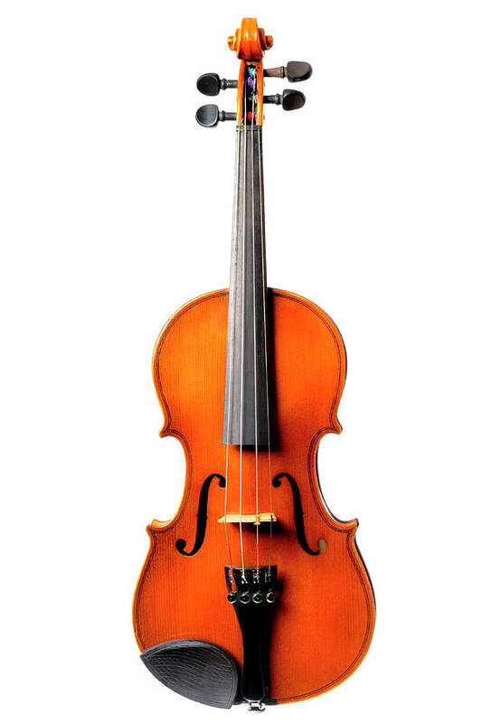 Old Violin On White Art Print