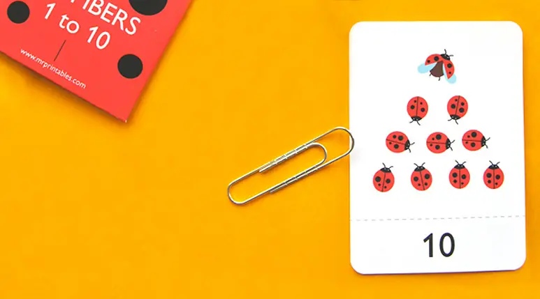 printable vocabulary cards