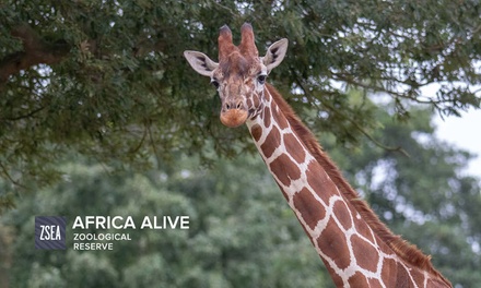 Africa Alive! Entry Tickets in - Kessingland | Groupon