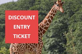 printable vouchers for africa alive