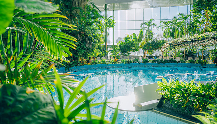 printable vouchers thermae bath spa