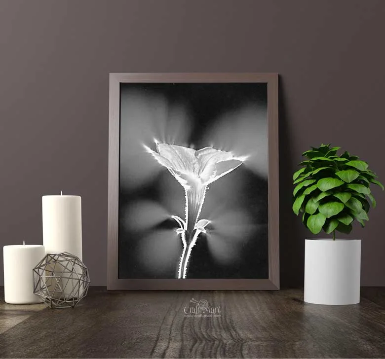 Free printable floral wall art to beautify your space - Craft-Mart