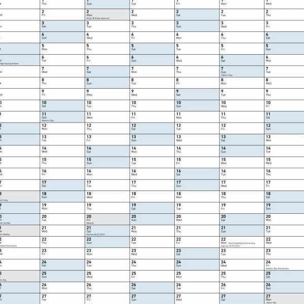 2025 Collins Wall Planner Large 700 X990mm Unlaminated | Paper Plus