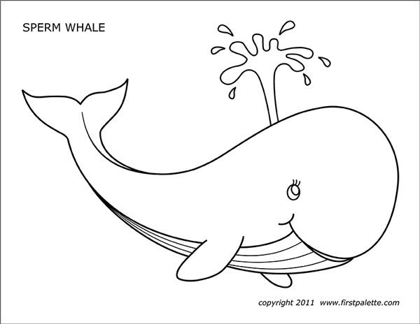 Whale | Free Printable Templates &  Coloring Pages | FirstPalette.com