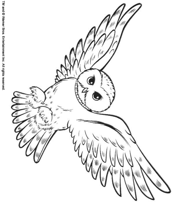 Snowy Owl coloring page - Animals Town - Animal color sheets Snowy ...