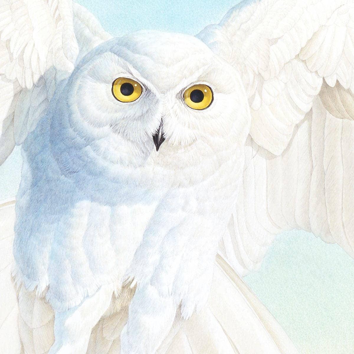 Snowy Owl - Framed Print by Glen Loates - The Glen Loates Gallery