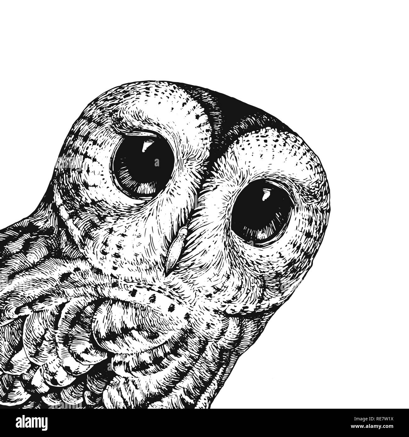 Black and white owl decoration hi-res stock photography and images ...