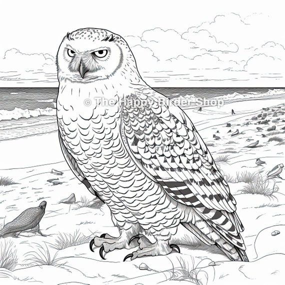 Snowy Owl Coloring Book Page Printable Adult Coloring Page Instant ...