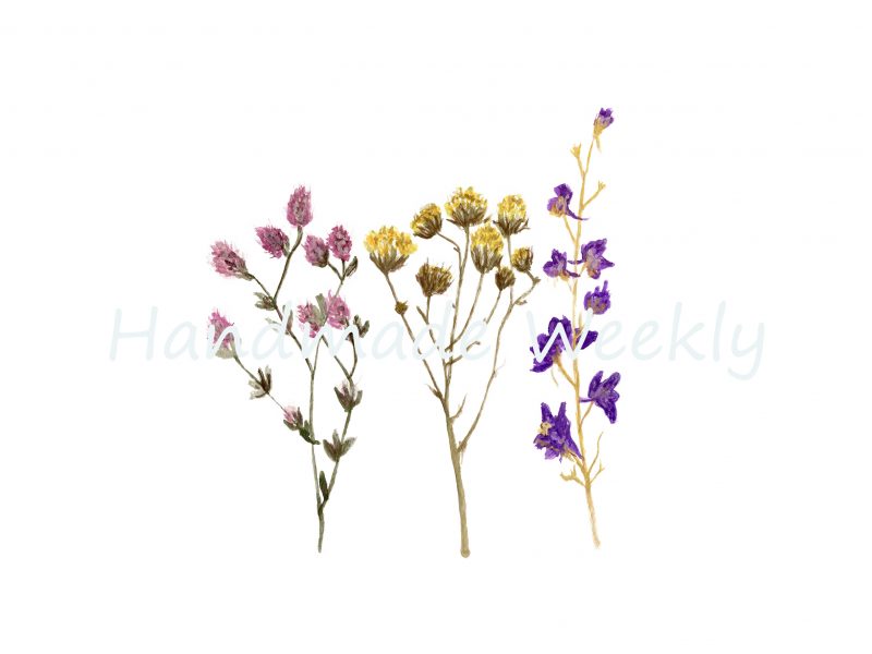Set of 2 Free Wildflower Botanical Printables - Handmade Weekly