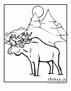 printable winter animal coloring pages