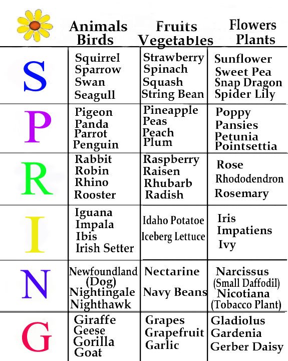 Games - Trivia Board Games for seniors | free printable instructions