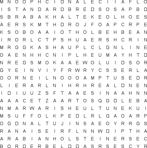 printable word search horses