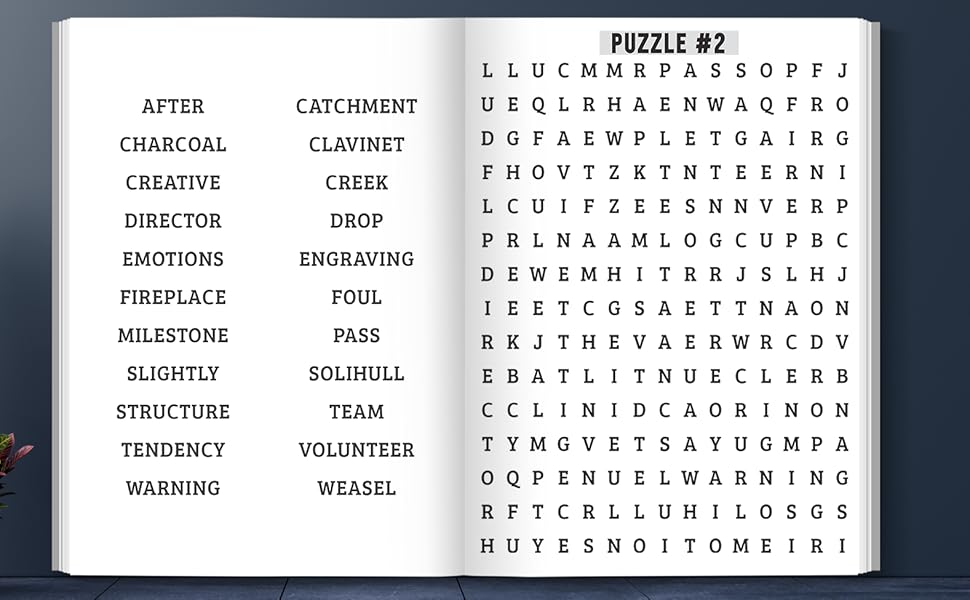 printable word searches big print
