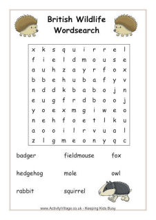 printable word searches for 11 year olds