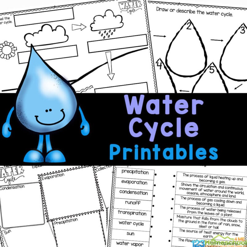 ? FREE Printable Water Cycle Worksheets for Kids
