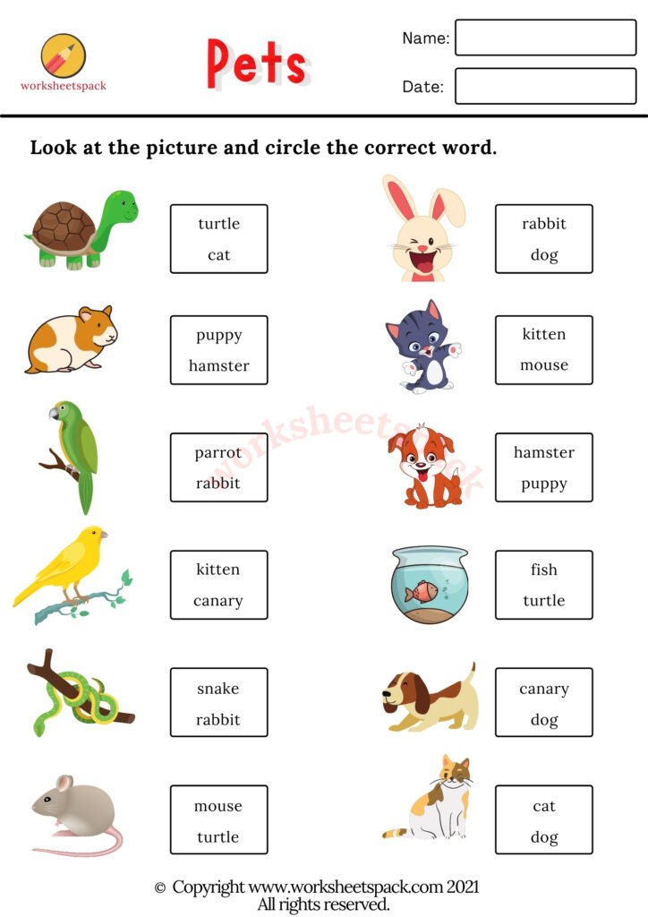 Free Pets Worksheets - worksheetspack