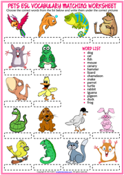 printable worksheet on pets