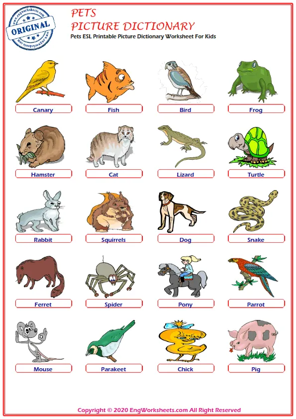 Pets Printable English ESL Vocabulary Worksheets - EngWorksheets