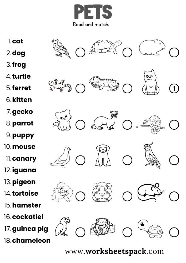 Free Pets Worksheets worksheetspack Worksheets Library Free Pets Worksheets worksheetspack Worksheets Library