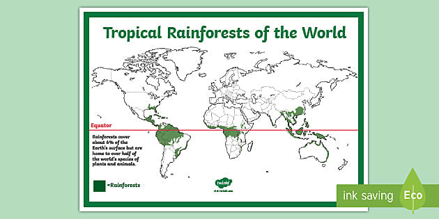 Rainforest Map - KS2 Reference Sheet (teacher made) - Twinkl